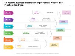 Six months business information improvement process best practice roadmap