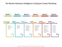 Six months business intelligence employee career roadmap