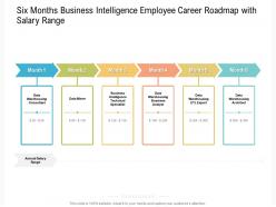 Six months business intelligence employee career roadmap with salary range