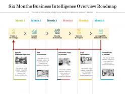Six months business intelligence overview roadmap