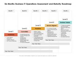 Six months business it operations assessment and maturity roadmap