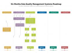 Six months data quality management systems roadmap