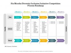 Six Months Diversity Inclusion Initiative Competition Process Roadmap