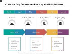 Six months drug development roadmap with multiple phases
