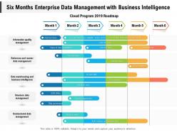 Six months enterprise data management with business intelligence