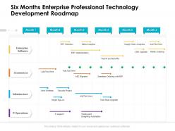 Six months enterprise professional technology development roadmap