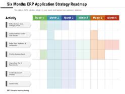 Six months erp application strategy roadmap