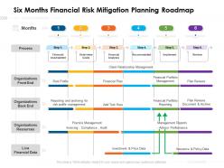 Six months financial risk mitigation planning roadmap