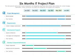 Six months it project plan