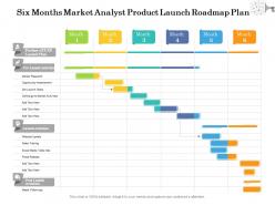 Six months market analyst product launch roadmap plan