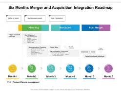 Six months merger and acquisition integration roadmap
