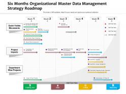 Six months organizational master data management strategy roadmap