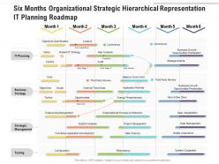Six months organizational strategic hierarchical representation it planning roadmap