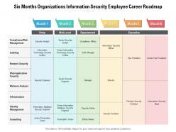Six months organizations information security employee career roadmap