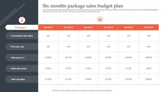 Six Months Package Sales Budget Plan