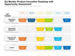 Six months product innovation roadmap with opportunity assessment