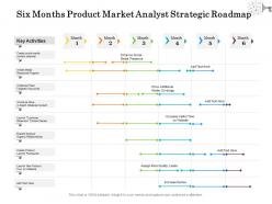 Six months product market analyst strategic roadmap