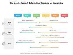 Six months product optimization roadmap for companies