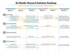 Six months research swimlane roadmap
