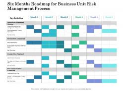 Six months roadmap for business unit risk management process
