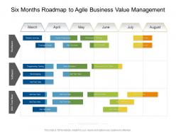 Six months roadmap to agile business value management
