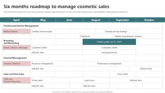 Six Months Roadmap To Manage Cosmetic Sales