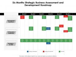 Six months strategic business assessment and development roadmap