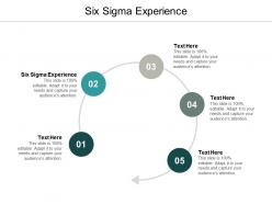 Six sigma experience ppt powerpoint presentation summary background images cpb