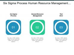 Six sigma process human resource management workflow diagram cpb