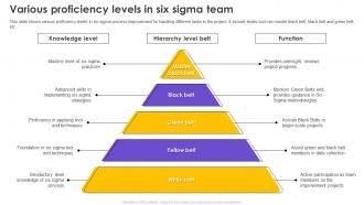Six Sigma Process Improvement Various Proficiency Levels In Six Sigma Team