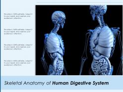 Skeletal anatomy of human digestive system