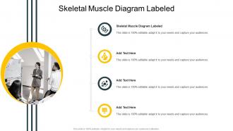 Skeletal Muscle Diagram Labeled In Powerpoint And Google Slides Cpb