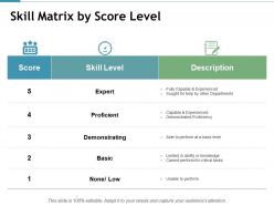 Skill matrix by score level demonstrating ppt powerpoint presentation inspiration example
