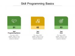 Skill programming basics ppt powerpoint presentation portfolio guidelines cpb