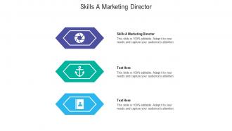 Skills a marketing director ppt powerpoint presentation styles infographics cpb