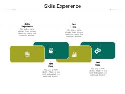 Skills experience ppt powerpoint presentation layouts design templates cpb