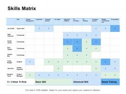 Skills matrix analyst ppt powerpoint presentation professional slide portrait
