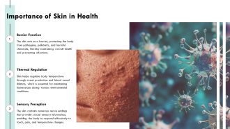 Skin Layers Protection Sensation And Thermoregulation Explained PPT Information AT Customizable Image