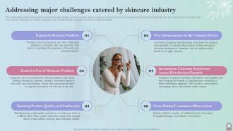 Skincare Industry Business Plan Addressing Major Challenges Catered By Skincare Industry BP SS