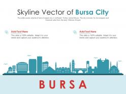 Skyline vector of bursa city powerpoint presentation ppt template