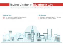 Skyline vector of diyarbakir city powerpoint presentation ppt template