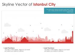 Skyline vector of istanbul city powerpoint presentation ppt template