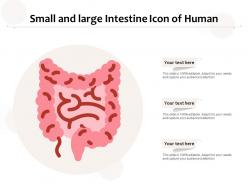 Small and large intestine icon of human