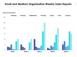Small and medium organization weekly sales reports
