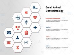 Small animal ophthalmology ppt powerpoint presentation pictures slides