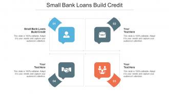 Small Bank Loans Build Credit Ppt Powerpoint Presentation Model Slide Download Cpb