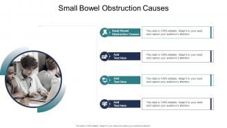 Small Bowel Obstruction Causes In Powerpoint And Google Slides Cpb