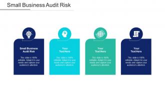 Small Business Audit Risk Ppt Powerpoint Presentation Show Rules Cpb
