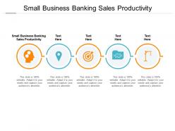 Small business banking sales productivity ppt powerpoint presentation professional display cpb