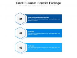 Small business benefits package ppt powerpoint presentation professional aids cpb